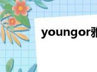 youngor雅戈尔（youngor）