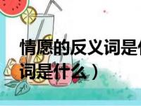 情愿的反义词是什么 标准答案（情愿的反义词是什么）