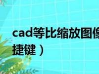 cad等比缩放图像快捷键（cad等比例缩放快捷键）