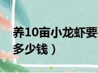 养10亩小龙虾要投资多少钱（养10亩龙虾赚多少钱）