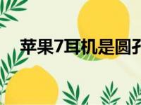 苹果7耳机是圆孔还是扁孔（苹果7耳机）