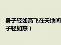 身子轻如燕飞在天地间不怕相隔远也能把话传打一动物（身子轻如燕）