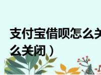 支付宝借呗怎么关闭人脸识别（支付宝借呗怎么关闭）