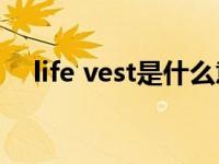 life vest是什么意思（vest是什么意思）