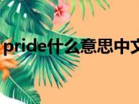 pride什么意思中文意思（pride是什么意思）