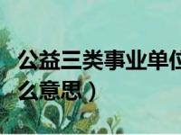 公益三类事业单位是什么意思（事业单位是什么意思）