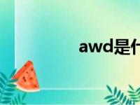 awd是什么意思（awd）