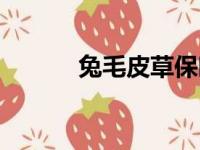 兔毛皮草保暖性怎么样（兔毛）