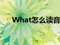 What怎么读音发音（what怎么读音）