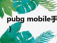 pubg mobile手机版（有b吗mobile手机版）