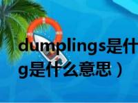 dumplings是什么意思英语翻译（dumpling是什么意思）