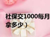 社保交1000每月拿多少钱（社保交1000每月拿多少）