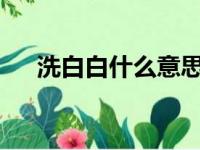 洗白白什么意思呢?（洗白白什么意思）