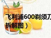 飞利浦600剃须刀头拆解图（飞利浦剃须刀头拆解图）