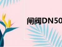 闸阀DN50价格（闸阀dn50）