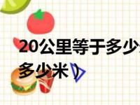 20公里等于多少米大约走多久（20公里等于多少米）