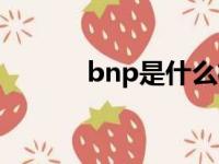 bnp是什么格式（bnp是什么）