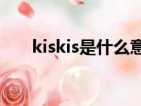 kiskis是什么意思中文（kies是什么）