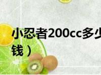 小忍者200cc多少钱单杠（小忍者200cc多少钱）