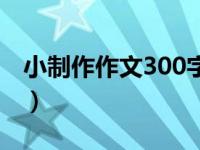 小制作作文300字三年级（小制作作文300字）