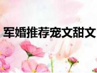 军婚推荐宠文甜文（军婚宠文无虐超宠甜文）