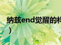 纳兹end觉醒的样子（纳兹end觉醒是多少集）