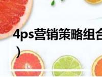 4ps营销策略组合理论包括了（4ps营销策略）