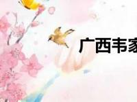 广西韦家伟（广西韦家）