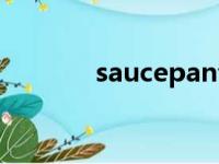 saucepan音标（saucepan）