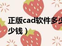 正版cad软件多少钱一个月（正版cad软件多少钱）