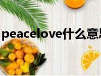 peacelove什么意思（peace love什么意思）