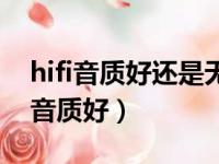 hifi音质好还是无损音质好（hifi和无损哪个音质好）