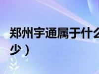 郑州宇通属于什么企业（郑州宇通一月能拿多少）