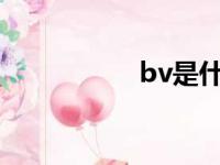 bv是什么牌子（bvs）