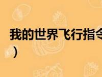 我的世界飞行指令是什么（我的世界飞行指令）