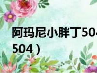 阿玛尼小胖丁504和505对比（阿玛尼小胖丁504）