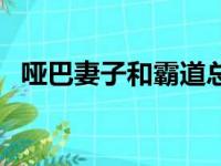 哑巴妻子和霸道总裁电视剧（总裁电视剧）