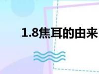 1.8焦耳的由来（1 8焦耳是什么概念）