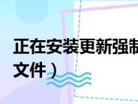 正在安装更新强制停止会怎样（正在更新安装文件）