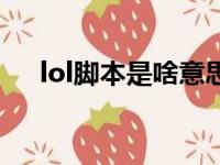 lol脚本是啥意思（lol脚本是什么意思）