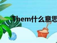 Them什么意思翻译（then什么意思）