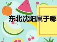 东北沈阳属于哪个省（沈阳属于哪个省）