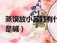 蒸馍放小苏打有什么作用（蒸馒头用小苏打还是碱）