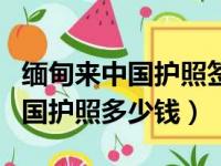 缅甸来中国护照签证好办吗多少钱（缅甸来中国护照多少钱）