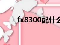 fx8300配什么显卡最好（fx8300）