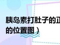 胰岛素打肚子的正确位置图片（胰岛素打肚子的位置图）