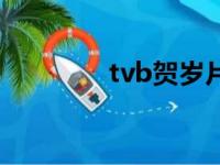 tvb贺岁片（tvb贺岁电影）