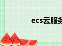 ecs云服务器是什么（ecs）