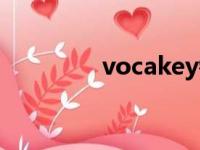 vocakey镜像（vocakey）