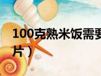 100克熟米饭需要多少生米（100克熟米饭图片）